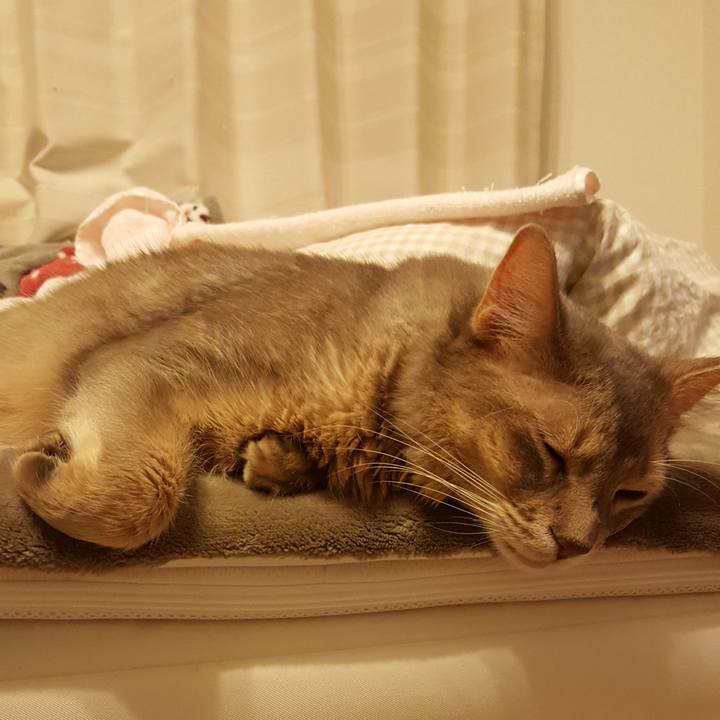 56d11a75 77d6 402e b0af 4be116ce149f 1574247430227