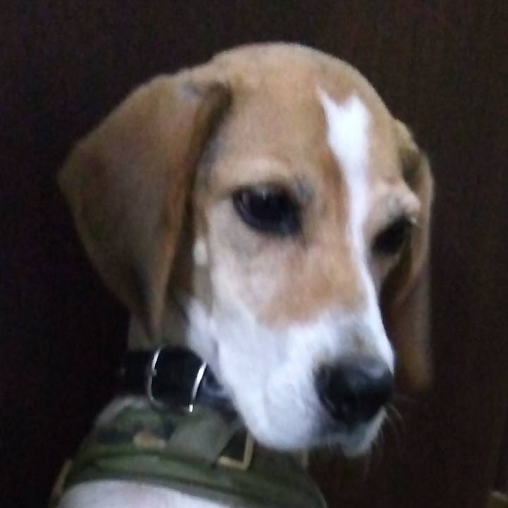 56d13b30 09c2 4895 9698 c4749a128385 1698050036890