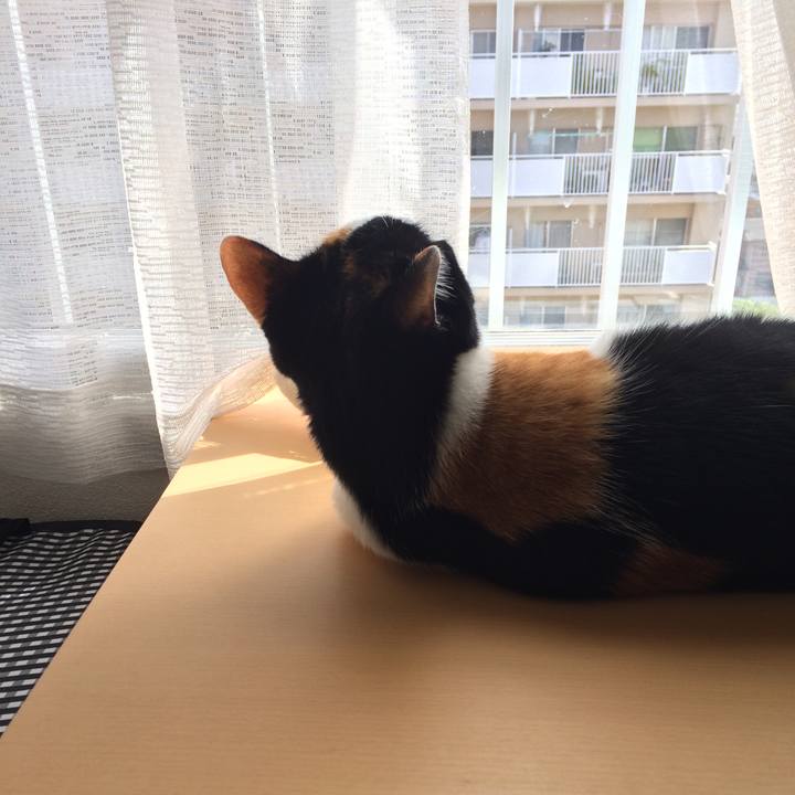 56d1501b 7bc2 4756 99e7 3fb01ad420b4 1527119725793