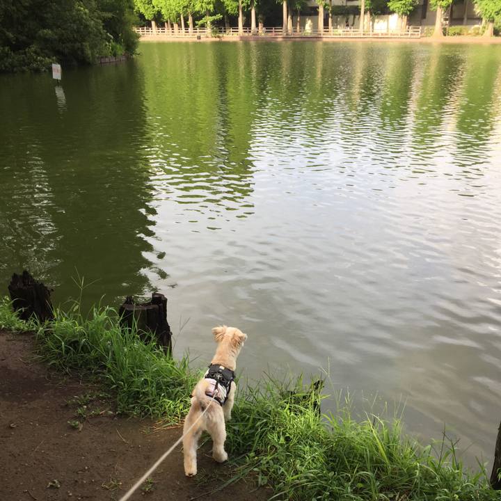 56d1602e 1c4b 481c a33c 6159e23c3878 1565767572595