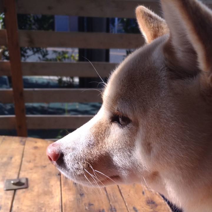 56d16e01 a2bb 4787 a664 550ec80f68e0 1544845846041