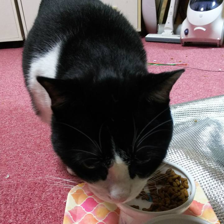 56d183a0 e80c 448f 9e0e 9e208cdc79fd 1541713797424