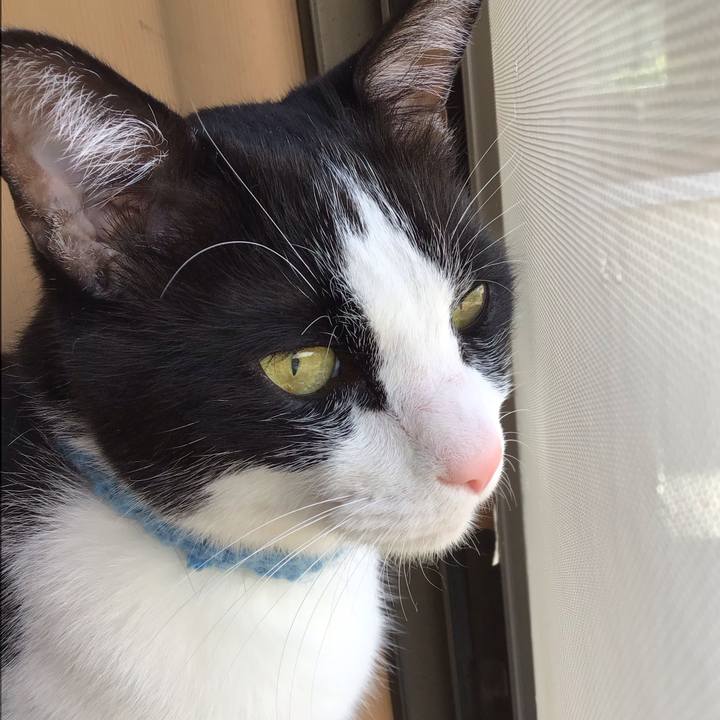 56d1d275 b272 4194 b406 292da777edf0 1746951619599