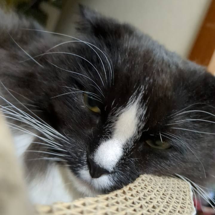 56d1d65a 335e 4b42 a989 444b693526a2 1672919954127