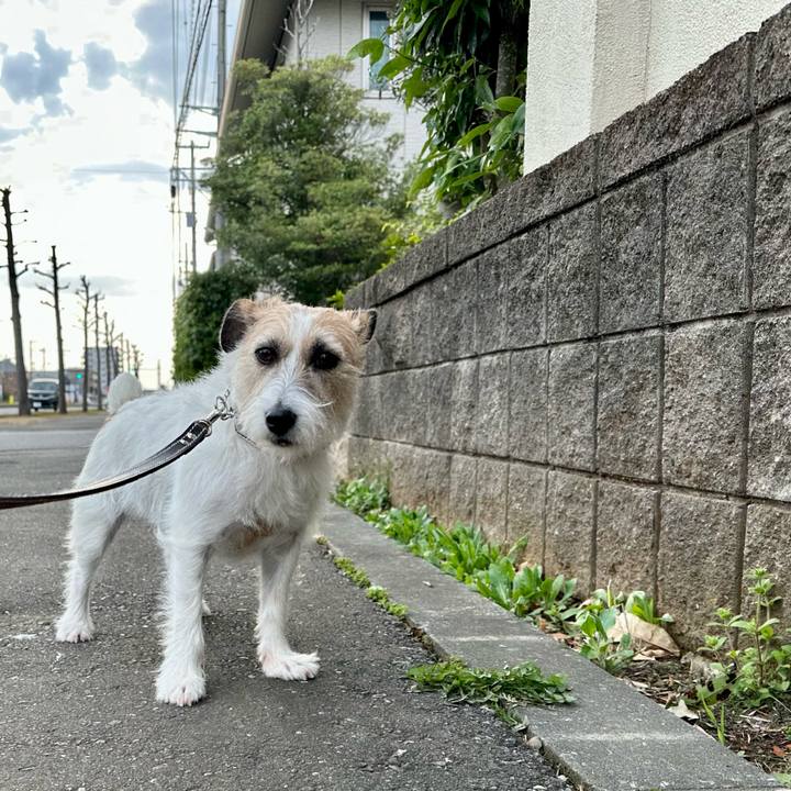 56d1d9a5 186c 45fb a23a 20b70db6f190 1744282173634