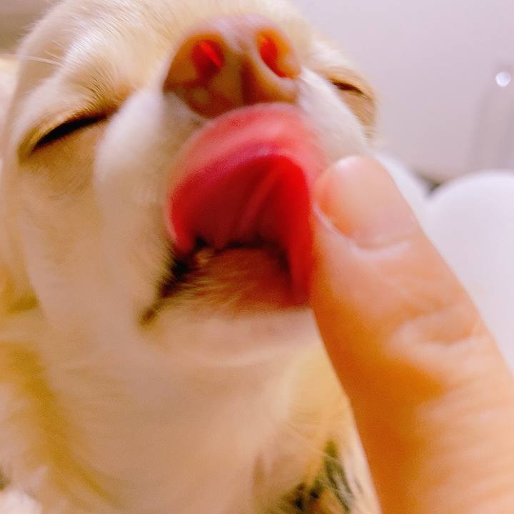 56d20986 439a 48c0 9560 0b70a8048d48 1621679737499