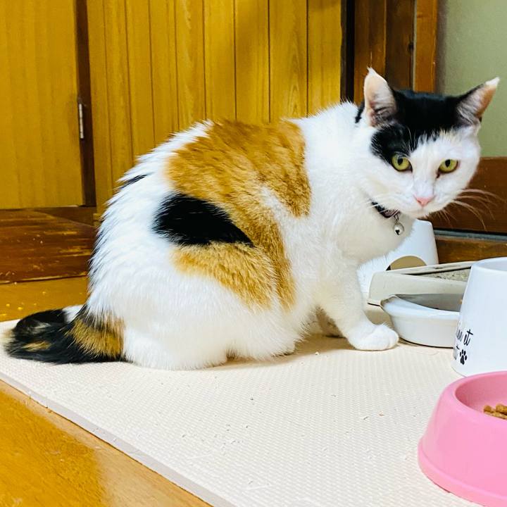 56d248ed 6d81 4473 8426 810ad1bc9828 1681646457409