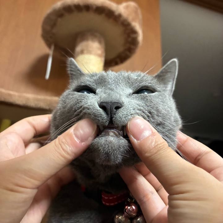 56d27b51 1508 4160 8e89 2711e46649ce 1767938548016