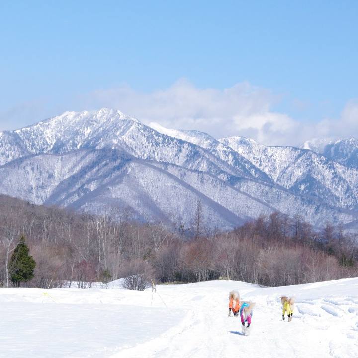 56d2a492 8443 4615 a473 7789fb9e0084 1547815310518