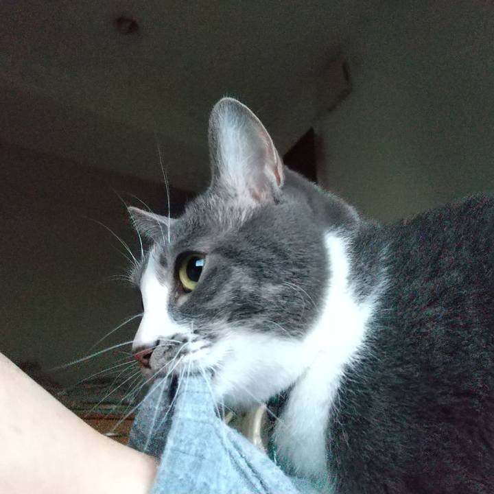 56d2b29a 4b1f 481d a1a0 900614c45392 1643756964130