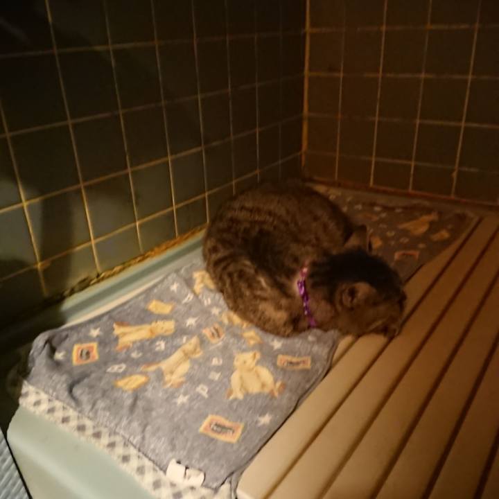 56d2c834 184a 438f 9c1f 63818c3524ea 1581590707360