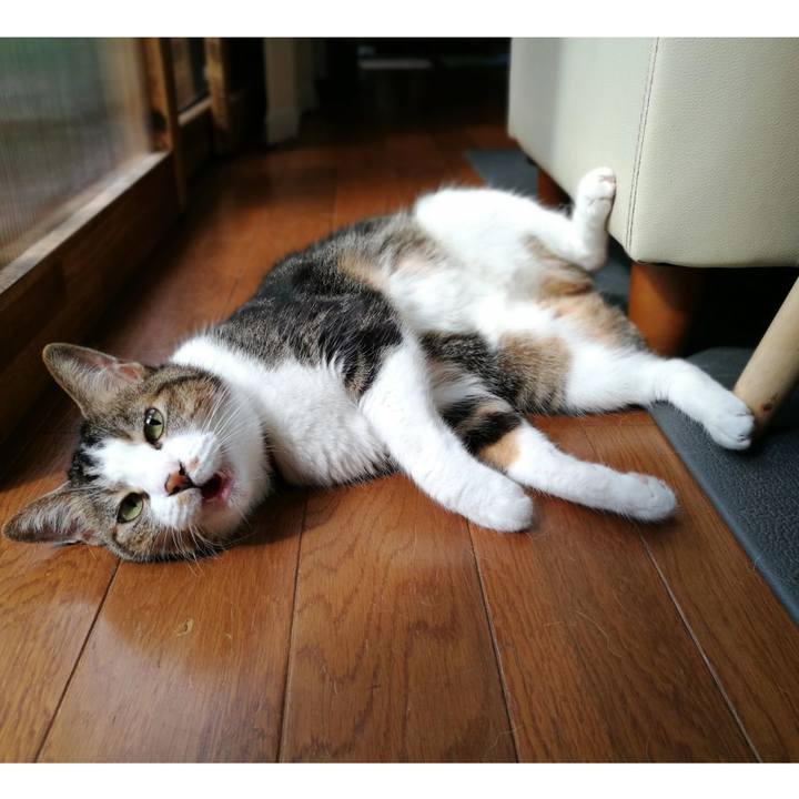 56d353e2 6833 4134 9e43 bcccb2208e30 1536618647192