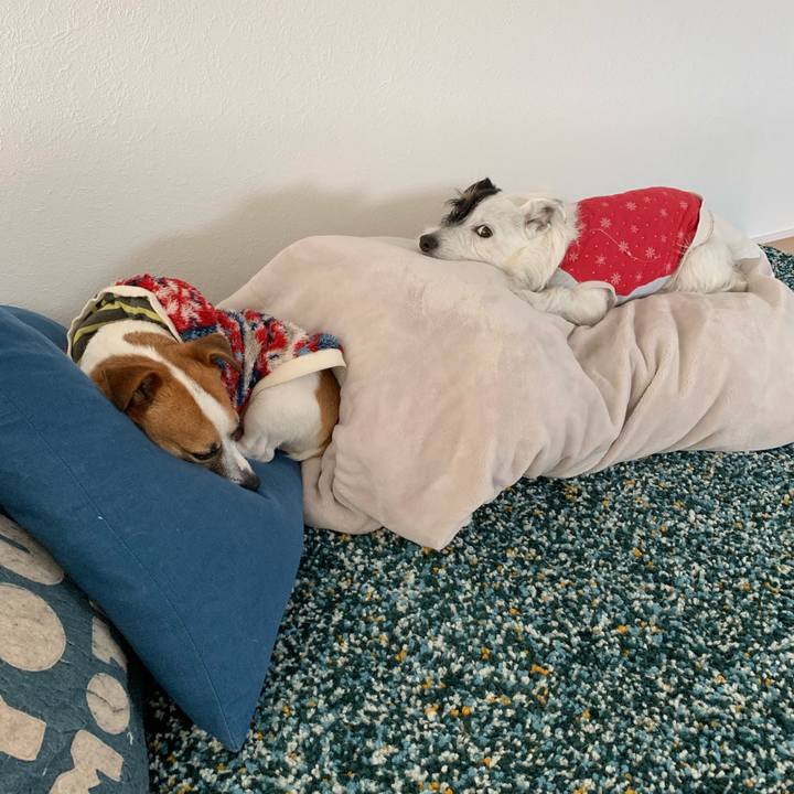 56d3a54b ab25 4f1d ac53 02f8a4357c00 1551406918832