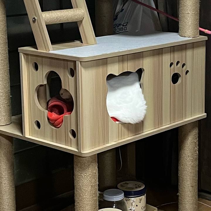 56d3d533 4d56 4d2e 8a10 c51260c046a4 1762417280111