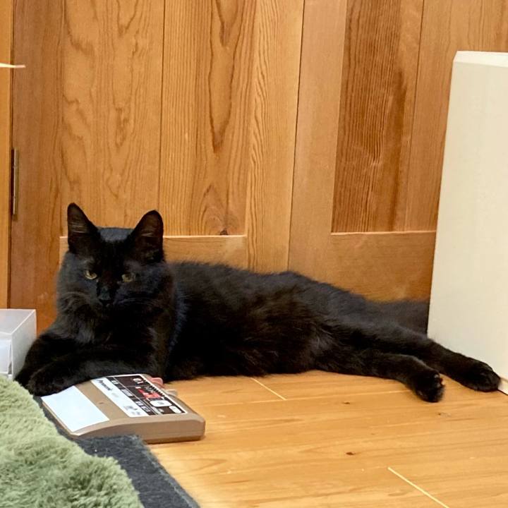 56d3d667 a107 43a3 93ca 8d252586308b 1711198702870