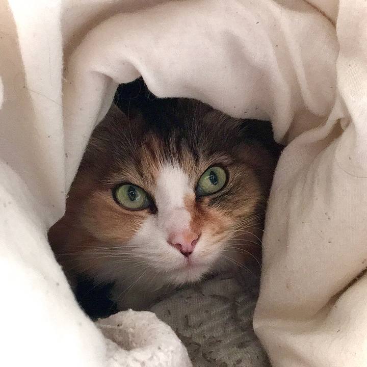 56d3f94b 0c86 468c a492 32aa0154be3b 1578384637263