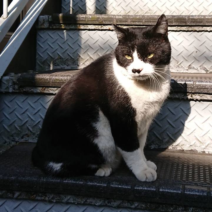 56d40d04 6a37 4834 85ac a45a39c9d217 1553642489182