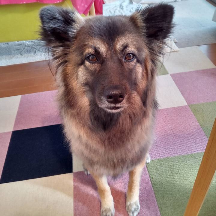 56d44708 ab1b 46a4 ad9f 36d1276fcc3d 1765675624768