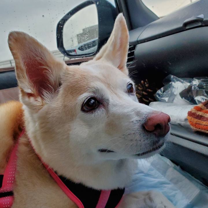 56d50d05 f2d4 45d5 a9b1 320588e507d6 1602329786754