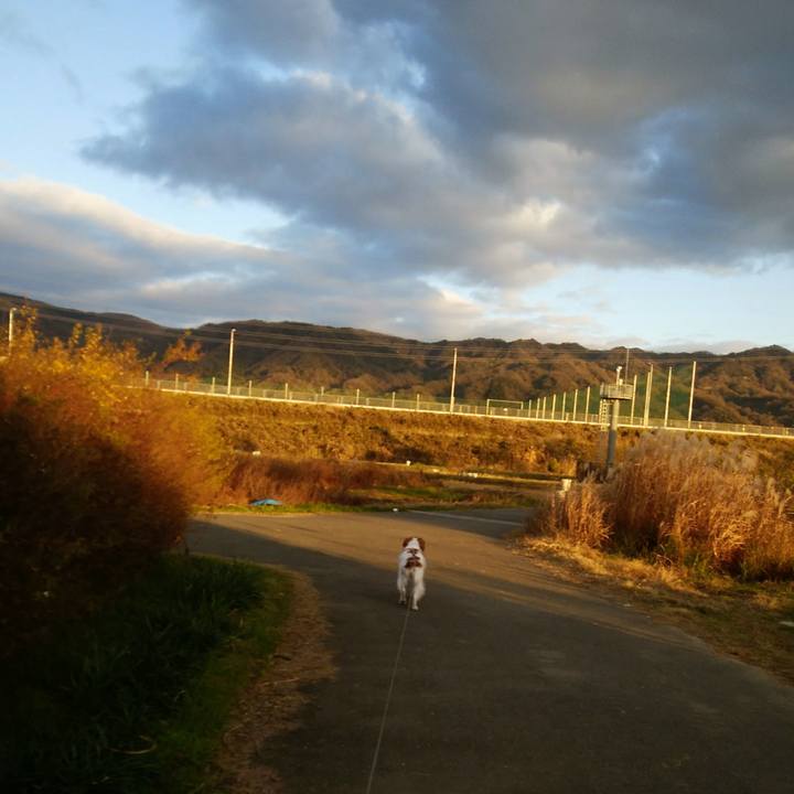 56d521dc 4314 4f0e 9291 b447aae141c3 1544863335568