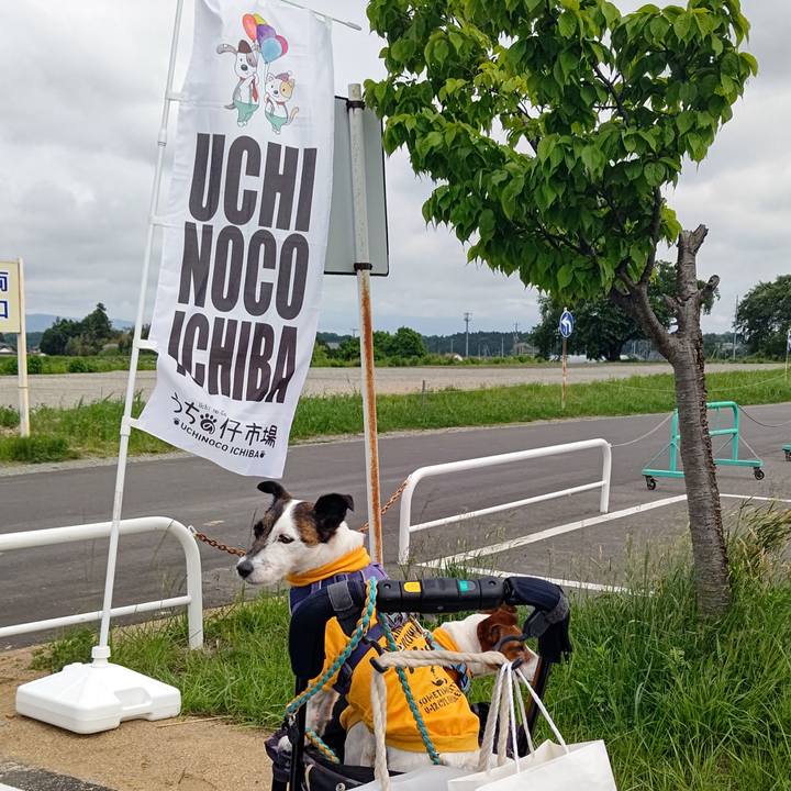 56d52859 e0fd 423b 9212 5ecc857ebec4 1684562005451