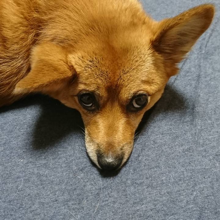 56d56b8c 43bd 4330 89d0 cab79b211600 1537396768178