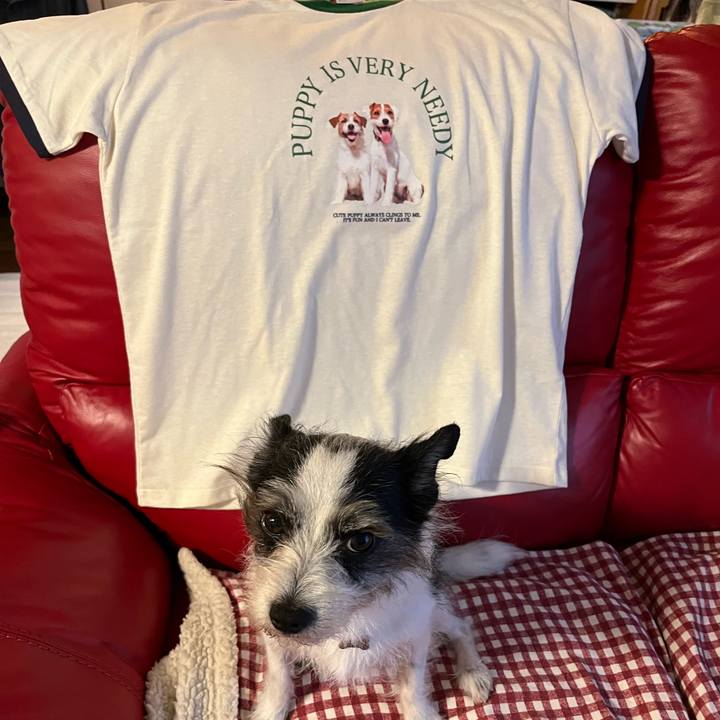 56d56d2e d399 466b a9ce 59c41260083e 1685415537060