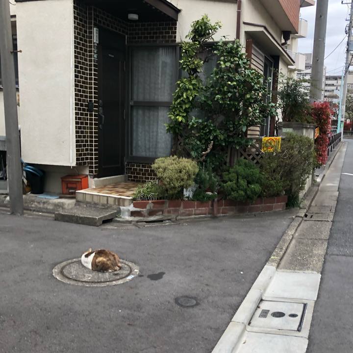 56d5a779 a9cb 4ad1 b85d 1bfb53a71265 1617092949335