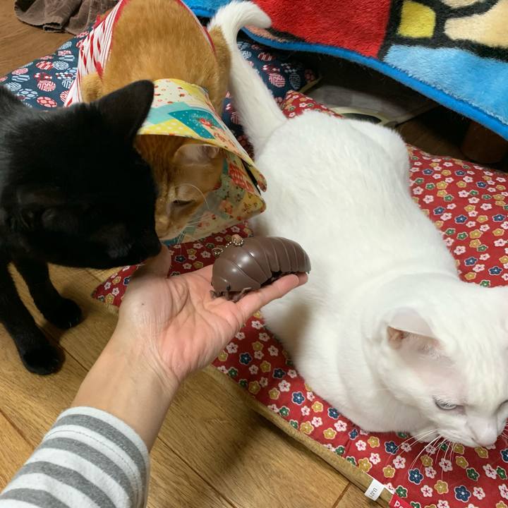 56d5b429 c046 46f5 ba41 3cdc0e9ea065 1575721514470