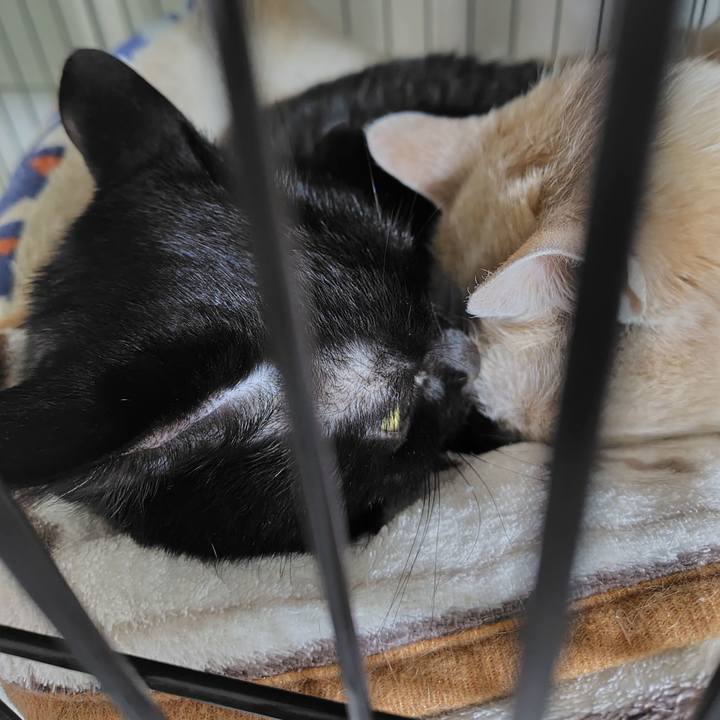 56d5d8e0 9dc8 4917 a153 8a2265758bb1 1715681195066