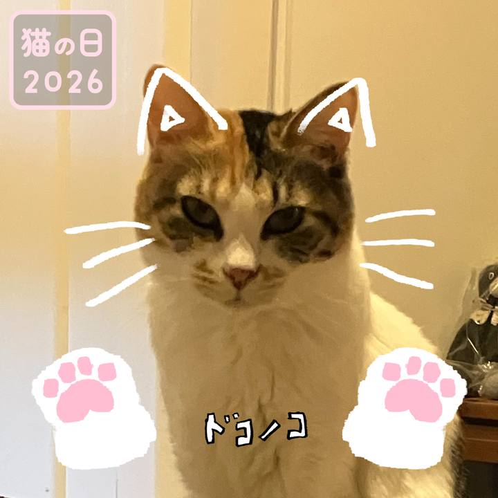 56d5dcf3 3254 47d5 b8f4 f43efa7a4385 1771713158146