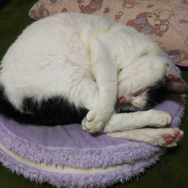 56d5e731 80e5 4366 bd28 5d3f0f69cb4f 1564991478812