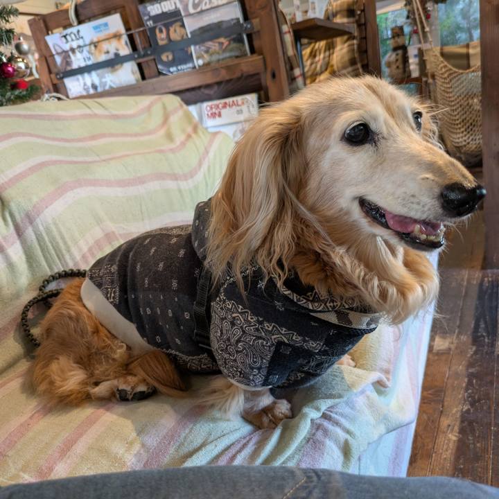 56d5ef1e 2b36 4118 b328 a2c3e3d160f5 1762726197531