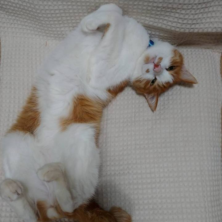 56d679a3 be9e 48eb 9ce0 470258d07684 1589772360461