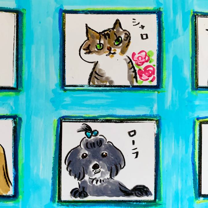 56d6a46b e899 4562 b069 d83e5f791ae9 1591852345039