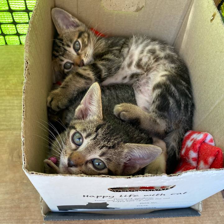 56d6e0b2 3a7e 4f4a 9dd5 a6a2dd926db4 1617932060342