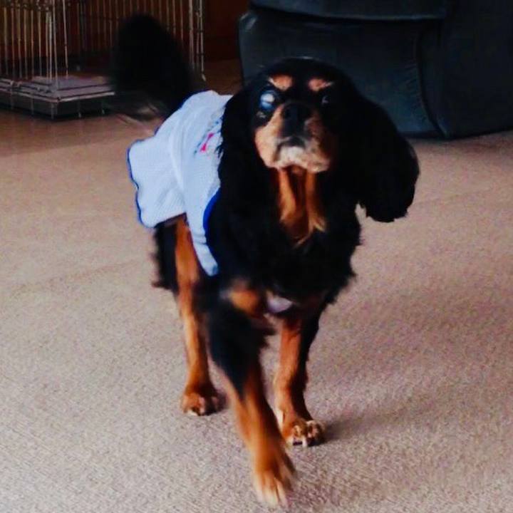 56d6e545 e892 46f7 a278 050a375d708d 1564299153755