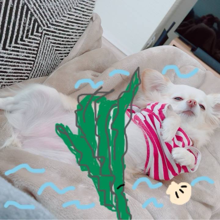 56d713ec 4e72 457a bd17 655c7d82236a 1704704884229