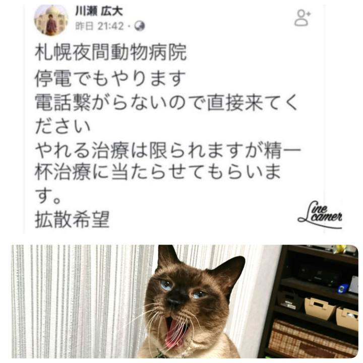 56d731b4 39f4 4279 9d06 df6f6f32a74b 1536298473912