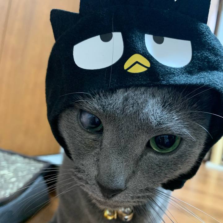 56d73666 bc64 4da1 aefc 978f23005bc7 1654902423893