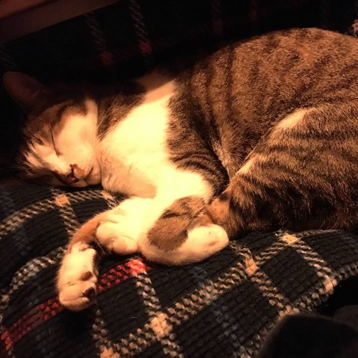 56d74e31 22b6 478f ac69 373ef9c5029a 1512996306497