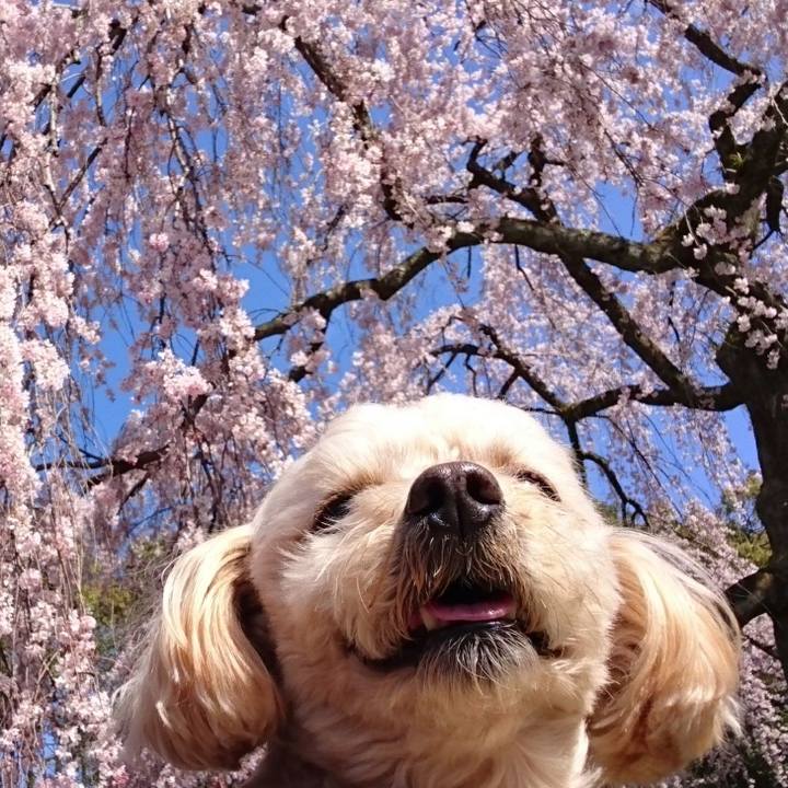 56d76086 35d7 4ee5 8875 f1ed5835c4e0 1584682752572