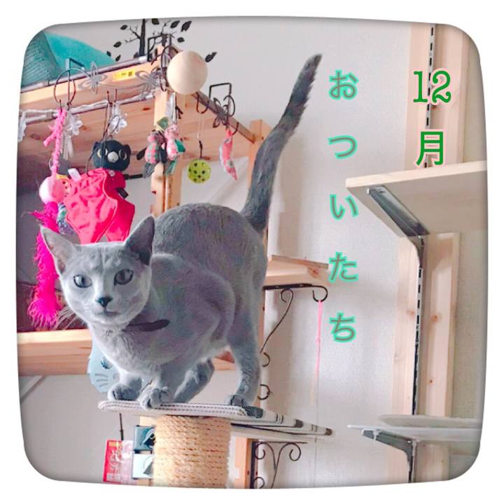 56d77dad 467c 4e4f 9bff cbbe25117f1b 1543620887059