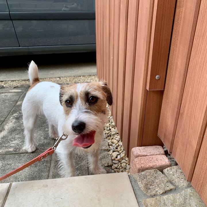 56d7af96 f883 44f1 bc4d 65e5331fc67f 1629521830011