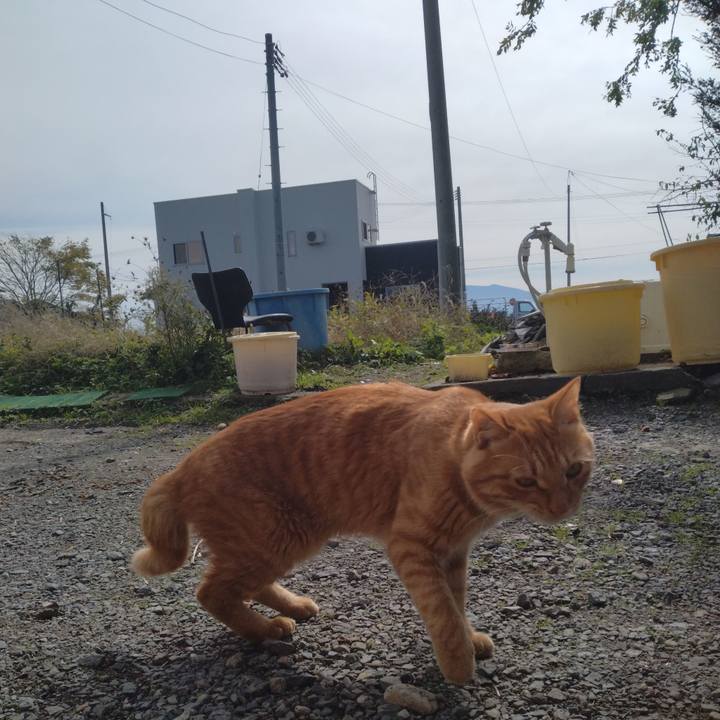 56d7e1e9 df2d 4d0b 8312 09f19cd7a380 1666665015034