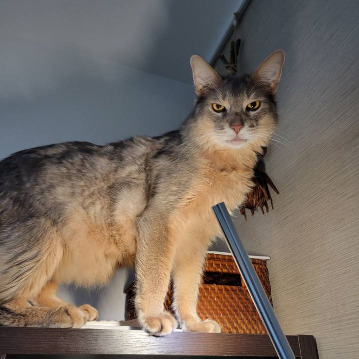 56d8039a 4853 4f1b 8971 5e545565b7db 1682501959976