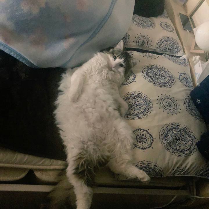 56d80545 095c 4878 a3c4 afa733e98b18 1539102170475