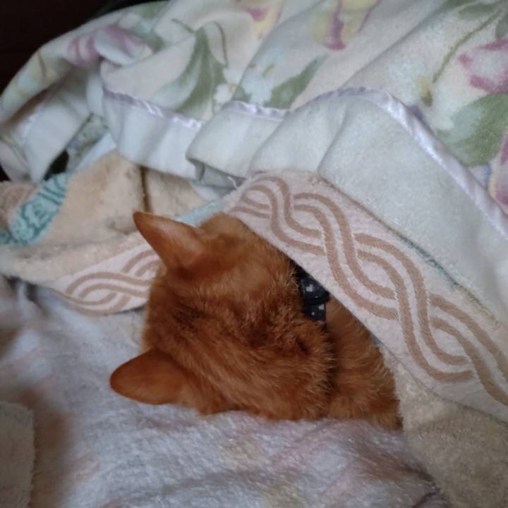 56d80f94 fc96 4e2a bd72 9606f2966f29 1671517117483