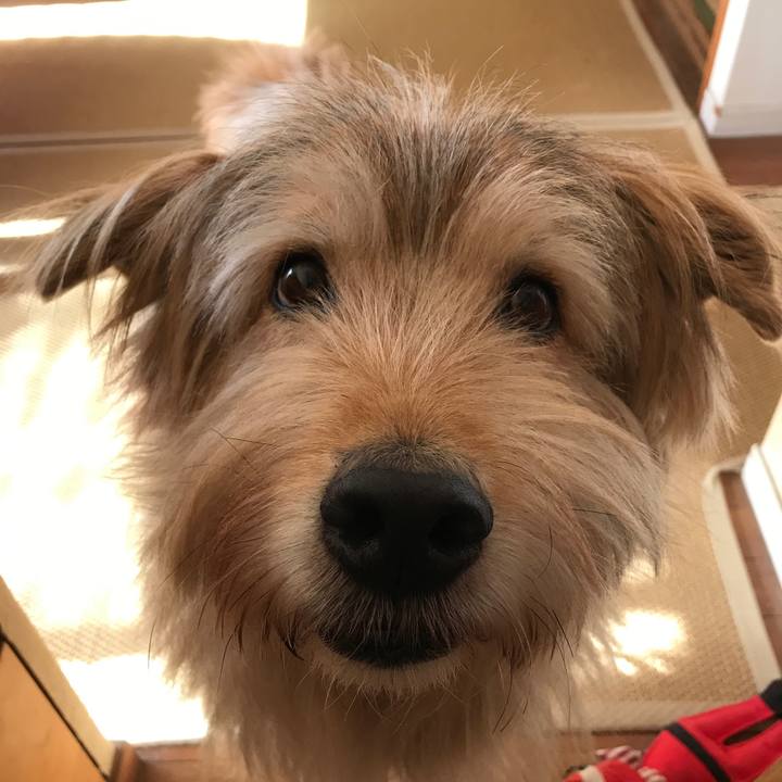 56d81475 5ba7 499f b3f1 c11950514cba 1549584523021