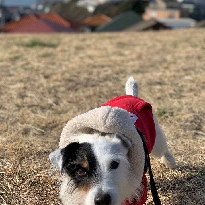 56d82e35 4649 40f2 accc 0d4052c85d6d 1707526629160